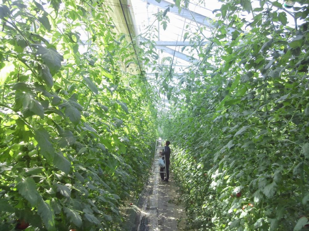 宮原酸素株式会社イメージ1