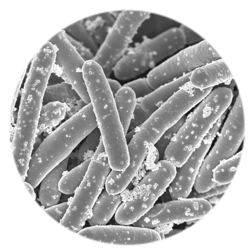 エースバイオプロダクト株式会社&nbsp;長野工場イメージ1