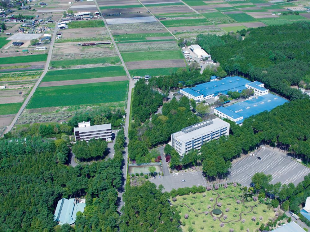 ルビコン株式会社イメージ1