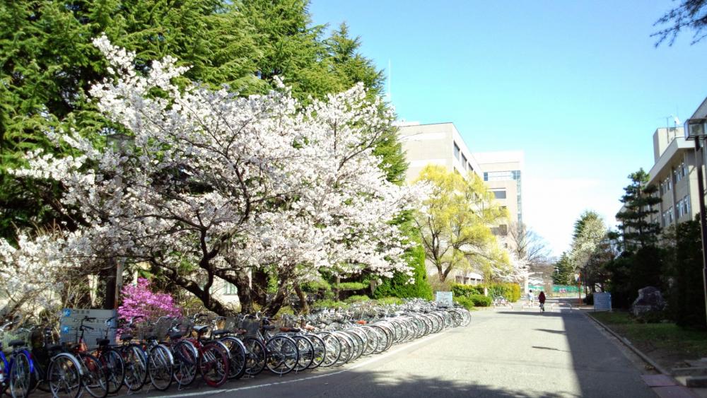 弁理士法人MTI特許事務所&nbsp;ー信州オフィスイメージ2