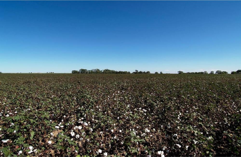 株式会社アバンティイメージ1