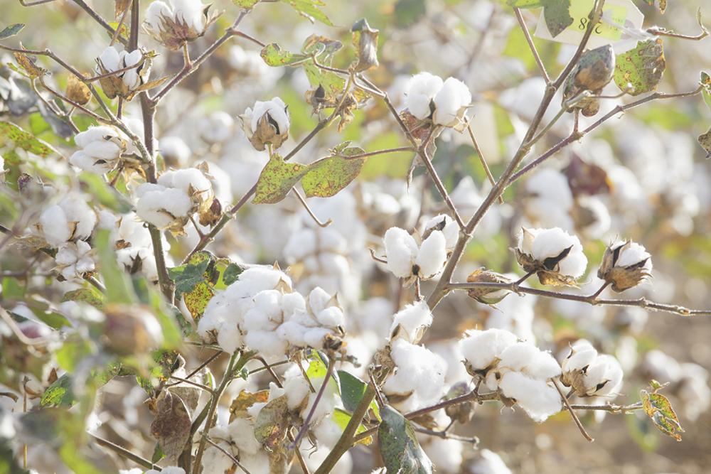 株式会社アバンティイメージ2