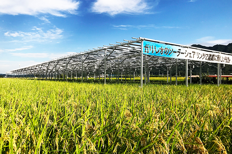 株式会社ガリレオイメージ1