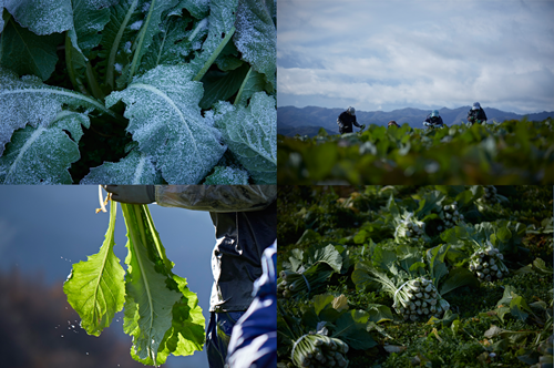 有限会社宮城商店イメージ2