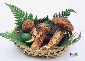 別所温泉観光協会イメージ3